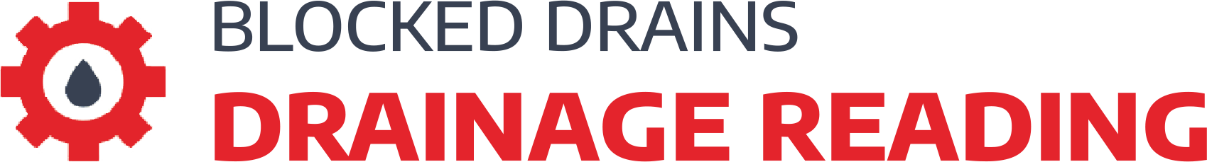 Reading_logo